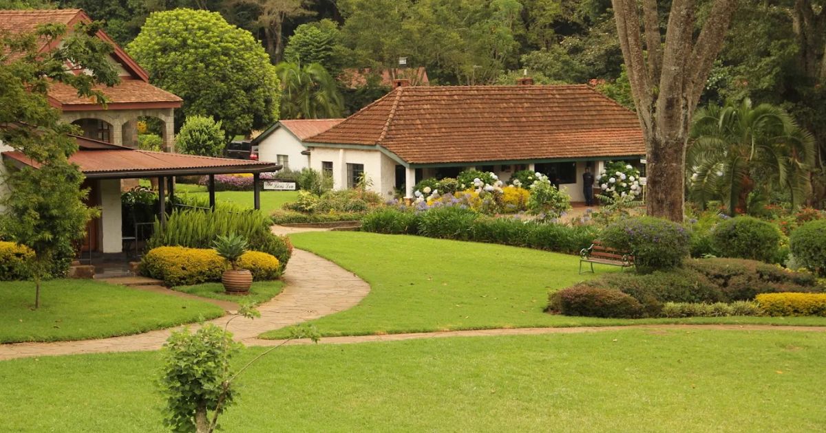 One Day Team Building Packages in Kenya